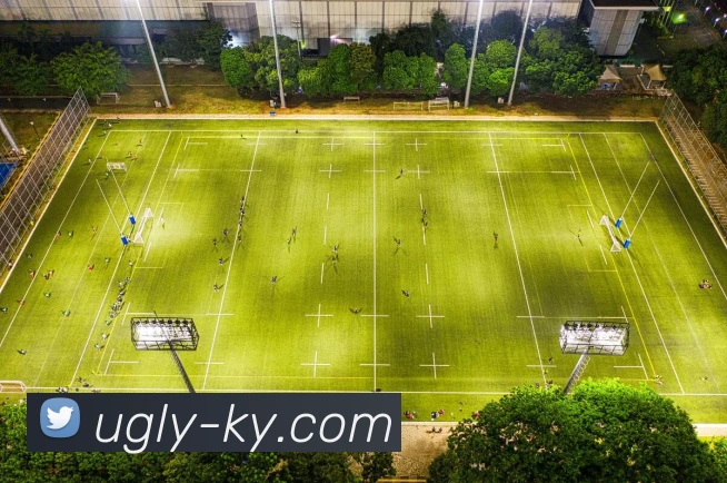 开云APP 高清赛事图